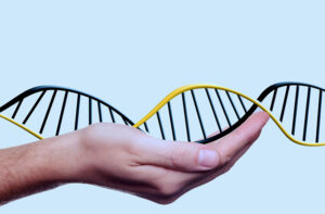 Mano sosteniendo una hélice de ADN que representa el área de investigación