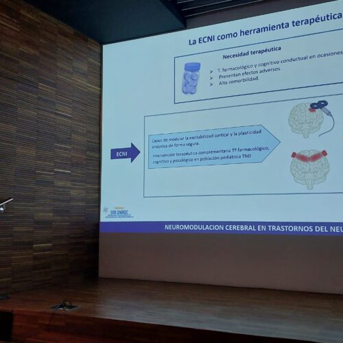 INCIA participa en el XVIII Congreso Internacional de actualización en trastornos del neurodesarrollo en Valencia