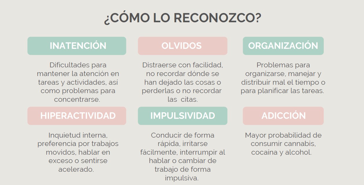 Infografía con las señales del TDAH en adultos: inatención, olvidos, organización, hiperactividad, impulsividad y adicción