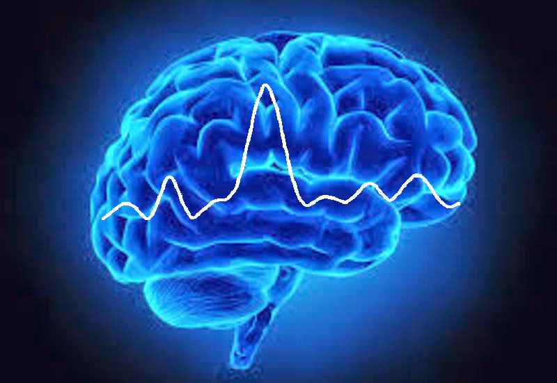 Cerebro con una onda de actividad eléctrica que representa la neurofisiología clínica en INCIA